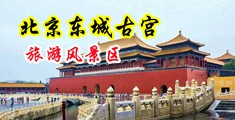 新疆淫妇xxxx操xxxx中国北京-东城古宫旅游风景区